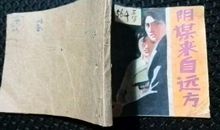 来自远方的一本书