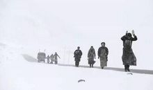 人生靠的就是一步一步走