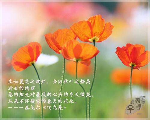 美丽的生活