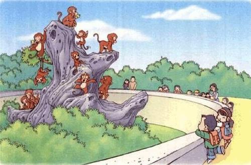 两级狐狸和狗看着图片