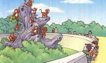 二年级狐狸和狗的看图写话