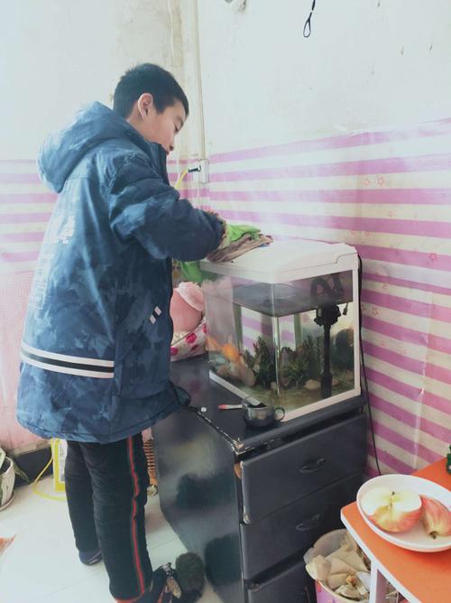 我驳回虐待给了家