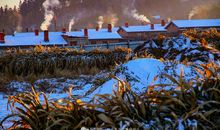 体验别样的乡情