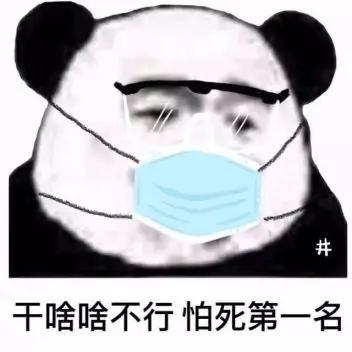 流行病的思考和增长