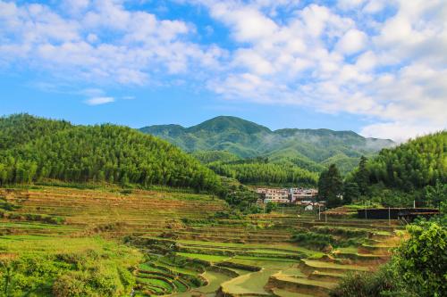 那个小村庄