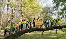 大自然中寻找美