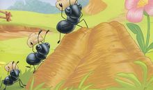 快乐在学习中诞生