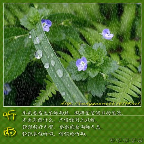 在夏天听雨