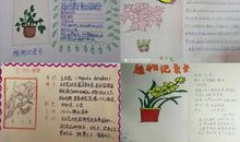 三年级下我的植物朋友