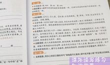 关于二倍速的作文高中