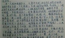 关于二倍速生活的800字作文