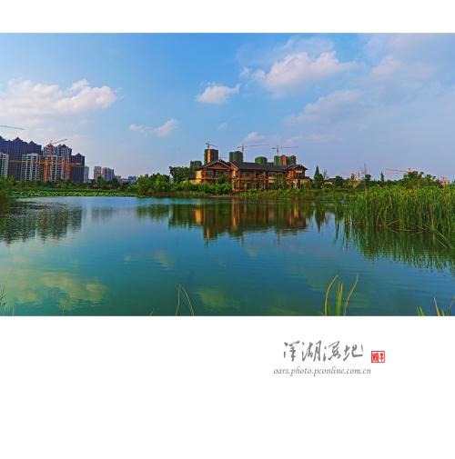 美丽的外国湖湿地