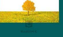 先成长而后成功