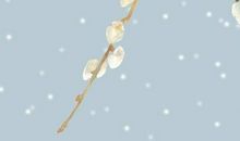 失败成长的必经之路