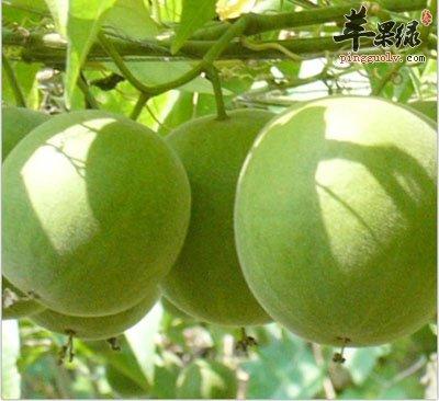 不断变化的胖海