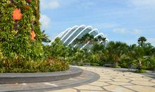 游石马广场作文