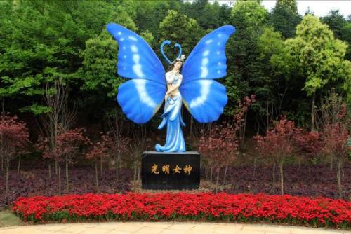 美丽，明亮的蝴蝶山谷