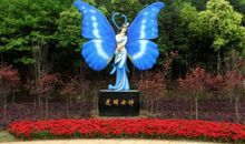 美啊，光明蝶谷