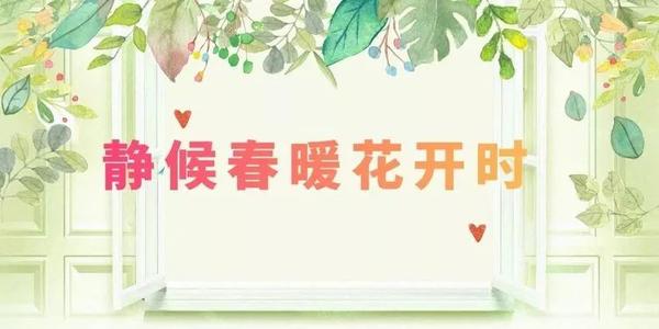 等待春天的花朵