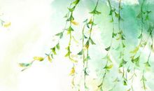 等待是一种温暖