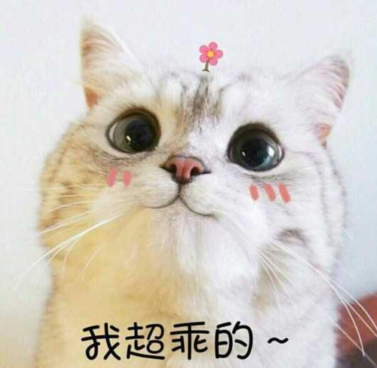 我很好。