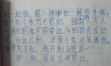 我心中的感动作文