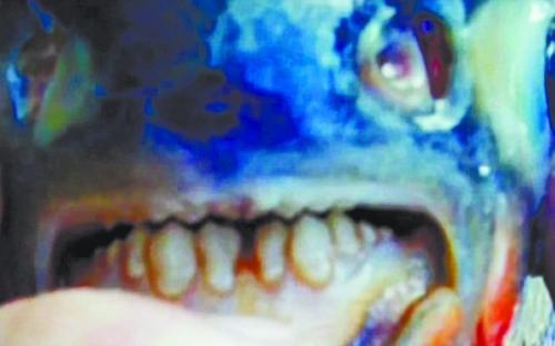 给食物的一封信