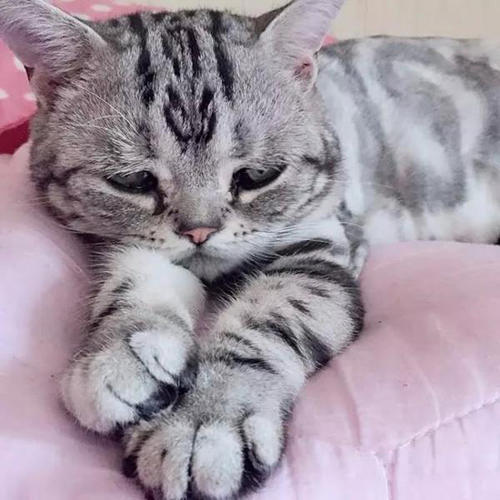 不要让世界悲伤
