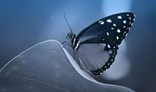 丝丝墨香醉我心