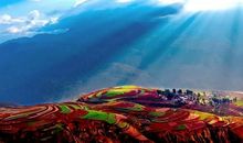 孝自无情别样情