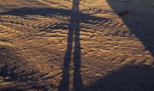 坚持也是一种勇气