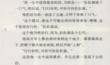 《月光下的肚肚狼》读后感