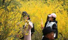 莫让青春赴水流