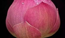 让合作之花开于你我心间