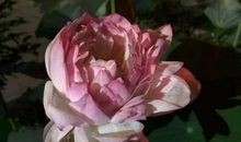 家乡的四季风光