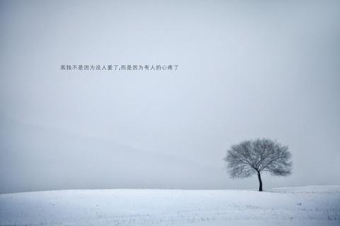 理解爱情