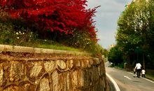 原来温暖就在我身边