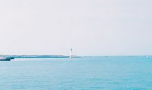 我渴望有一片海洋