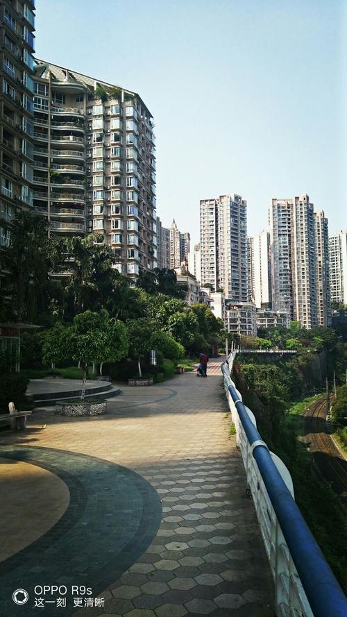 社区春天