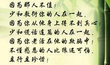 有一种情感叫爱惜