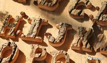 坚强也是一种养料