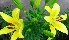 静待成功之花绽放