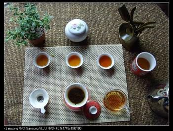 茶的本质