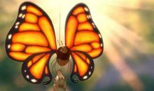 拥抱破茧成蝶的那一刻