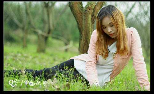 那件装满了快乐的树林