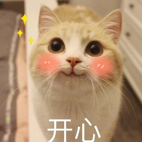 我很可爱。