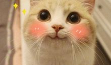 我咋这么可爱呢