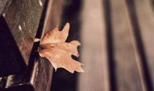 放弃也是一种享受