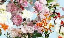 乱花渐欲迷人心