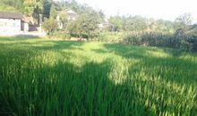 河北老家的农村生活